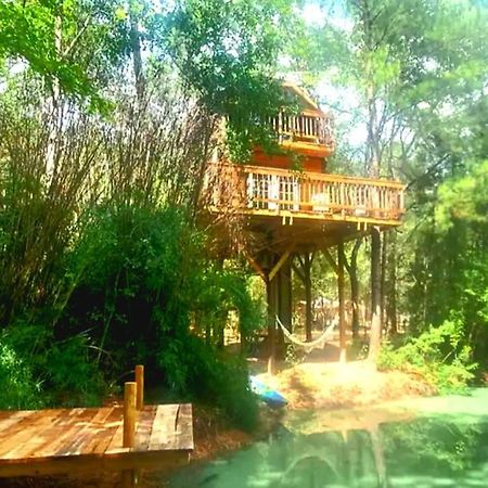 Waterfront Treehouse In A Magical Forest Waller megye Kültér fotó