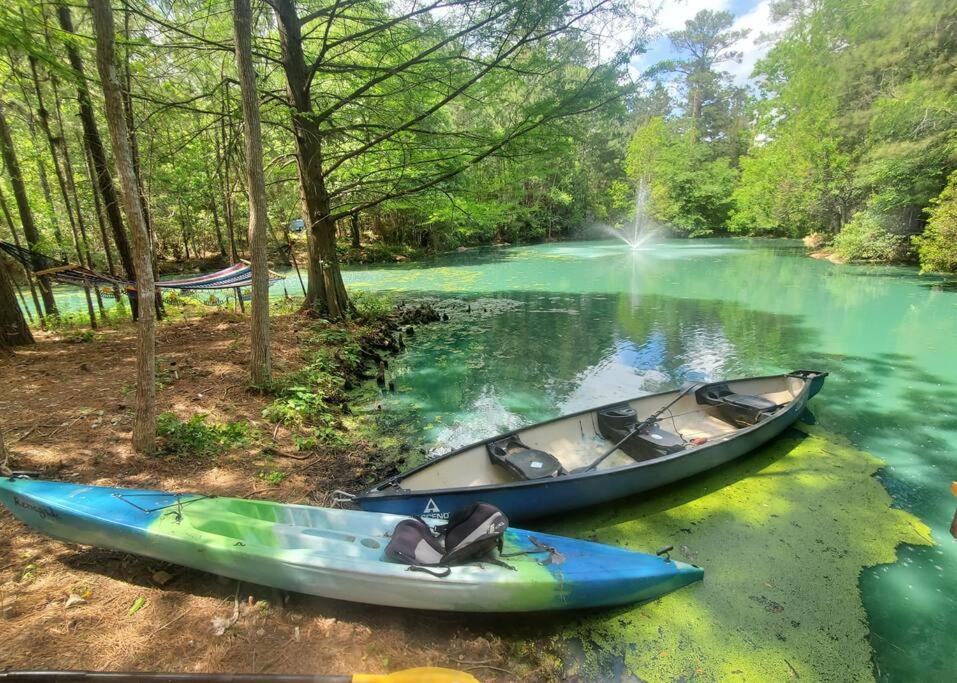 Waterfront Treehouse In A Magical Forest Waller megye Kültér fotó